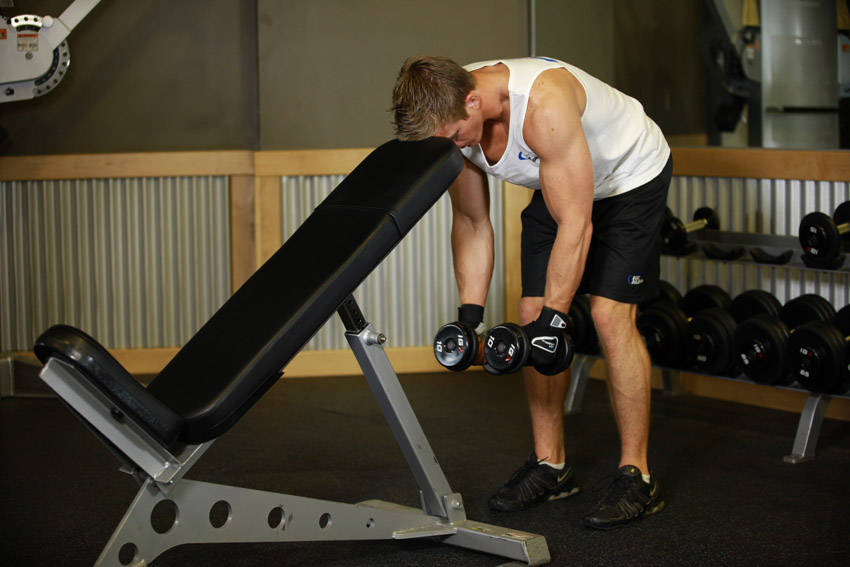 Bent Over Dumbbell Rear Delt Raise With Head On Bench — starting position