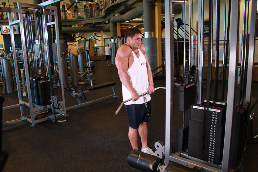 Cable Shrugs — end position