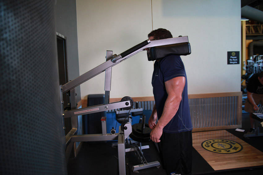 Calf-Machine Shoulder Shrug — end position