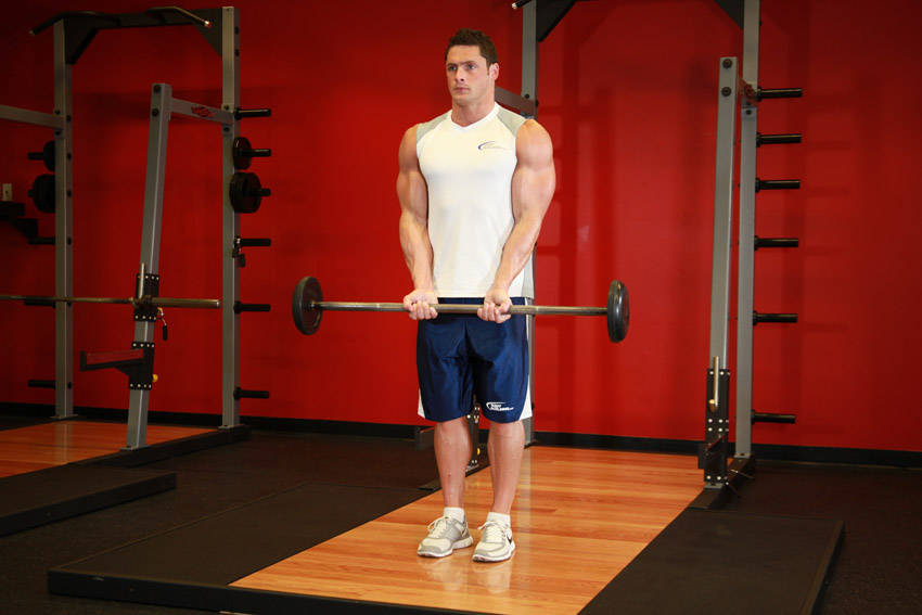 Close-Grip Standing Barbell Curl — starting position