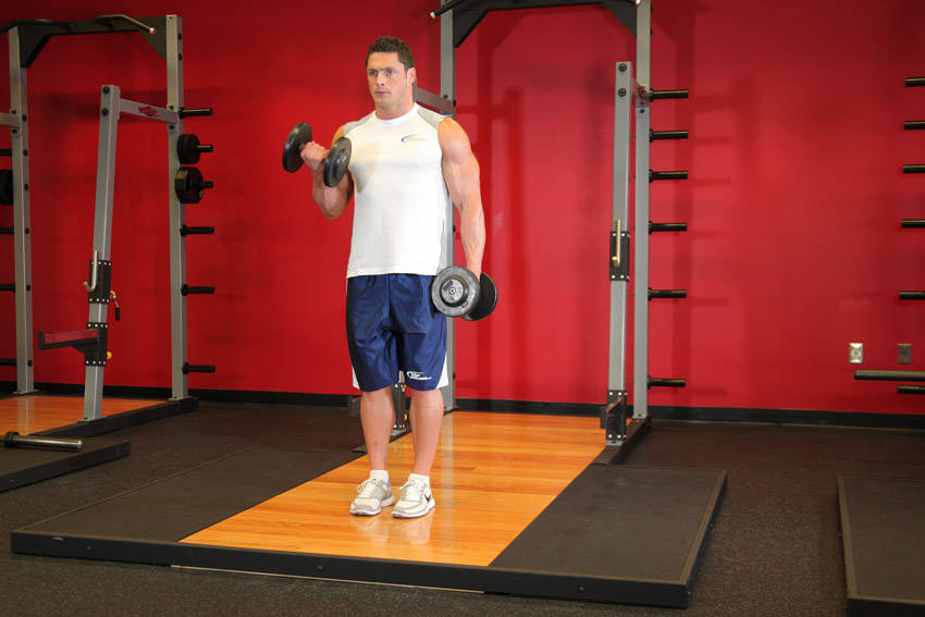 Dumbbell Alternate Bicep Curl — starting position
