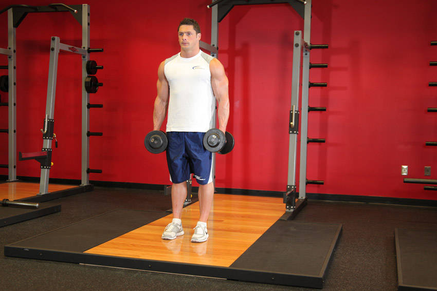 Dumbbell Bicep Curl — starting position