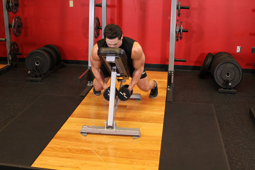Dumbbell Lying Rear Lateral Raise — starting position
