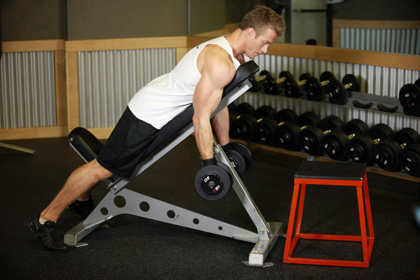 Dumbbell Prone Incline Curl — end position
