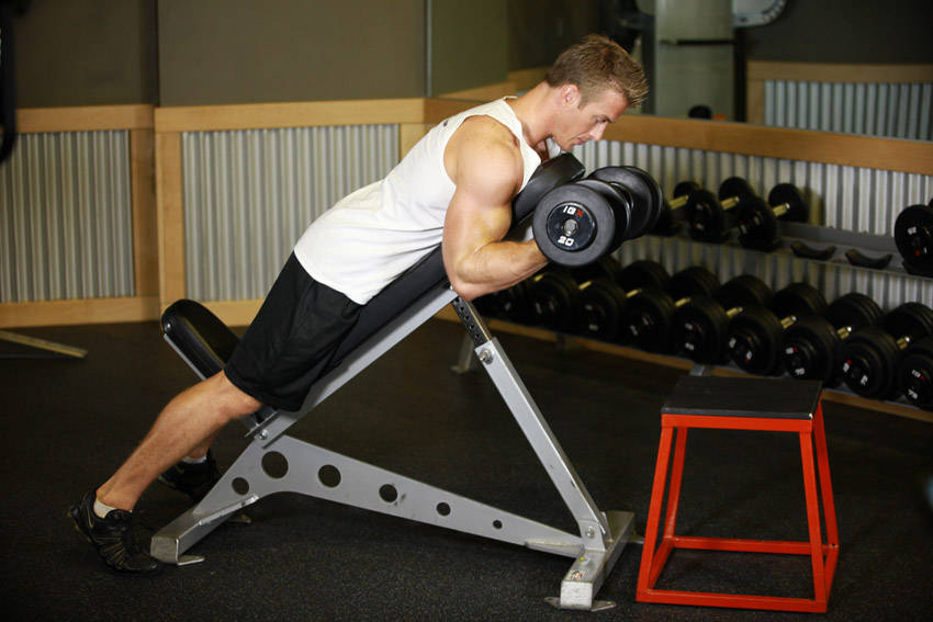 Dumbbell Prone Incline Curl — starting position