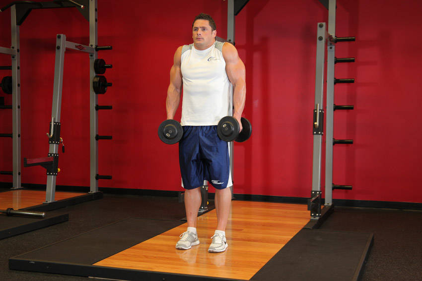 Dumbbell Shrug — end position