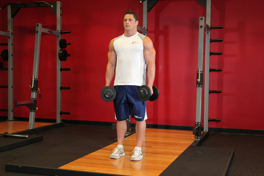 Dumbbell Shrug — starting position