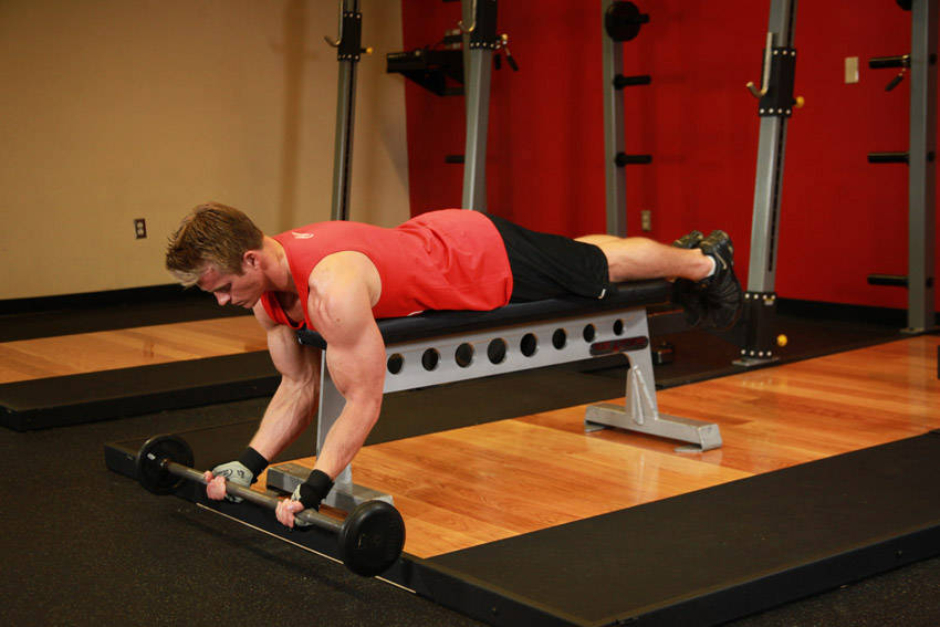 Lying High Bench Barbell Curl — starting position
