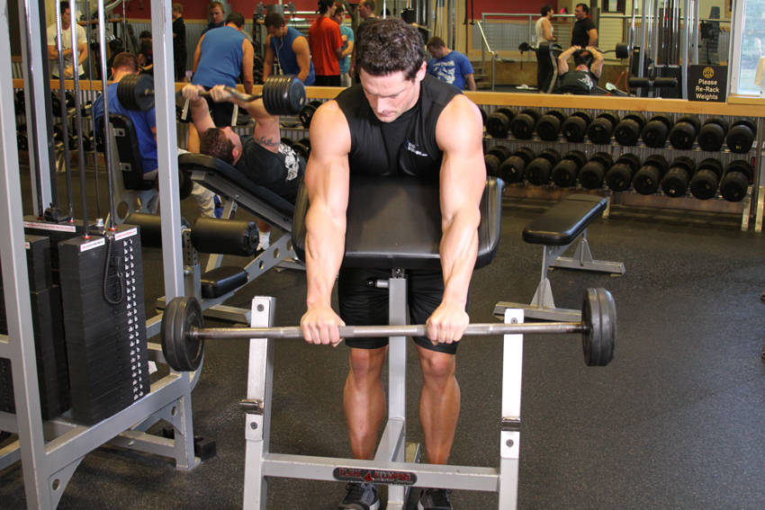 Reverse Barbell Preacher Curls — starting position