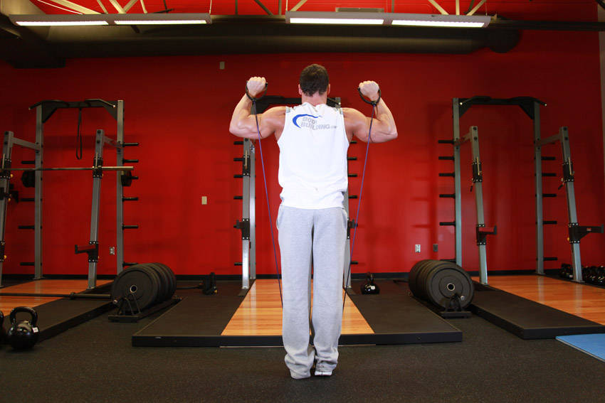 Shoulder Press - With Bands — starting position