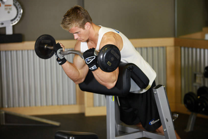 Spider Curl — end position