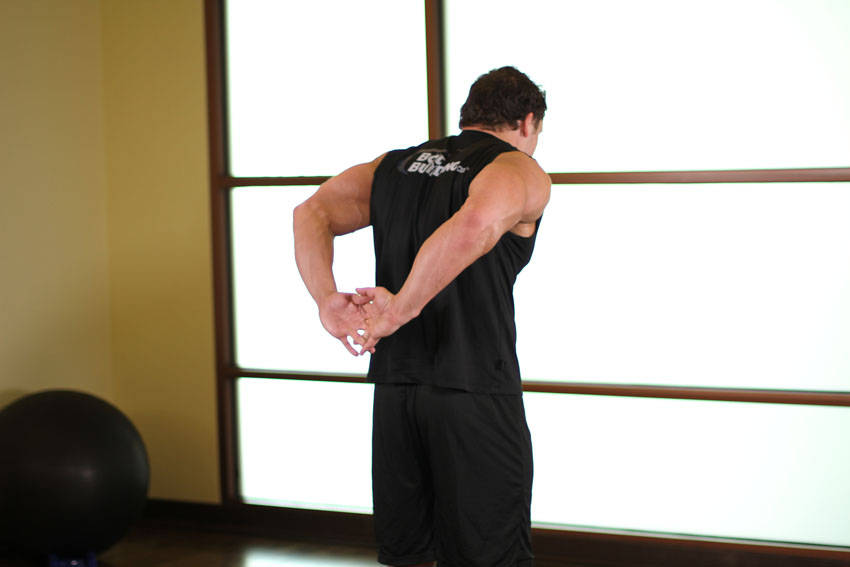 Standing Biceps Stretch — end position