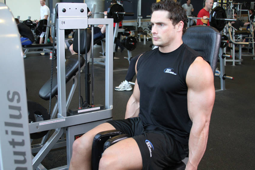Thigh Adductor — end position
